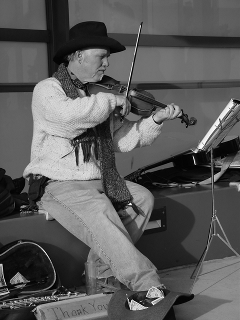 The Fiddle Player