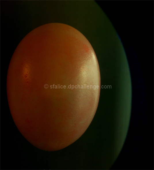 The not so lowly egg