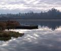Morning silence