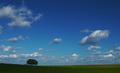 Silence: Respect and Contemplate the Quietude of the Nature