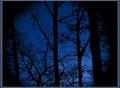 Awaken the silent thought of my mind