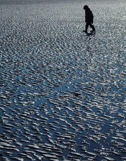 The young man and the sea