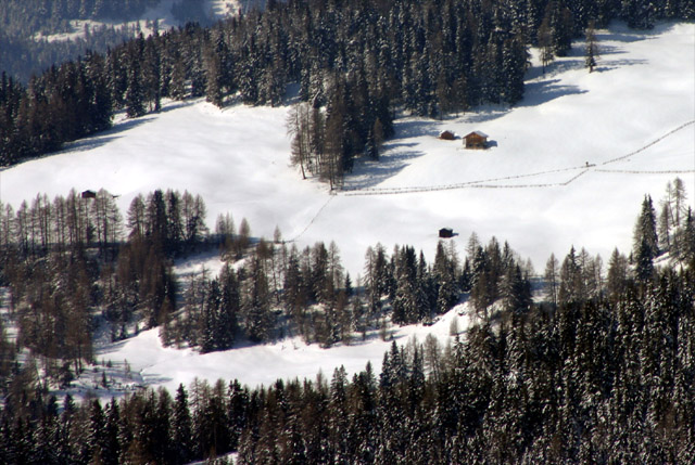 Silence: find it in the snow