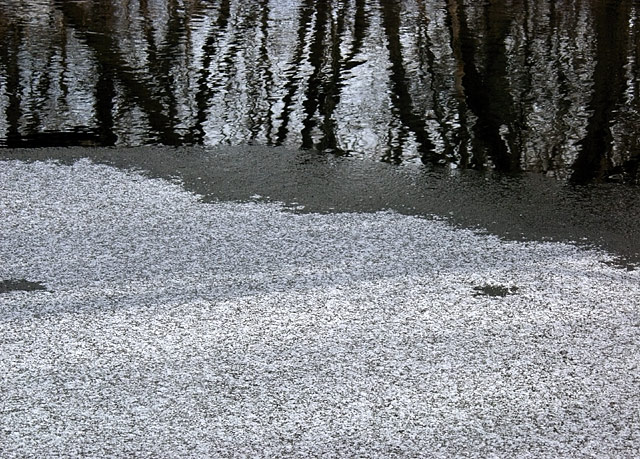 Sand Creek - thaw