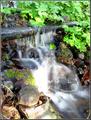 Crescent Springs