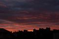 Suburban sunset