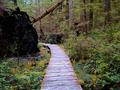 Cape Alva