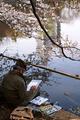 Cherry Blossom Painter