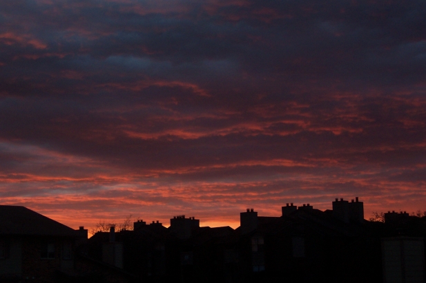 Suburban sunset