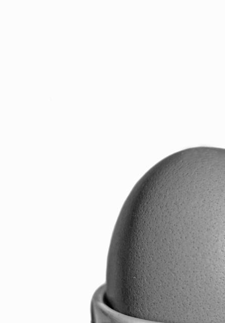 A study of a curved egg