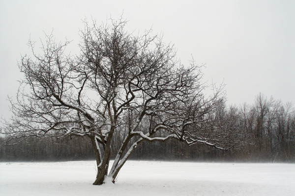 1st Day of Spring in Ottawa