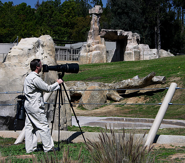 Animal Photographer