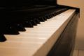 The Lines of Music
