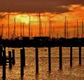Sunset Silhouettes