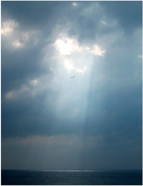 Light Rider