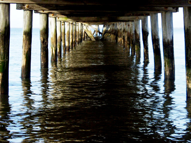 Woodland Pier at Low Tide