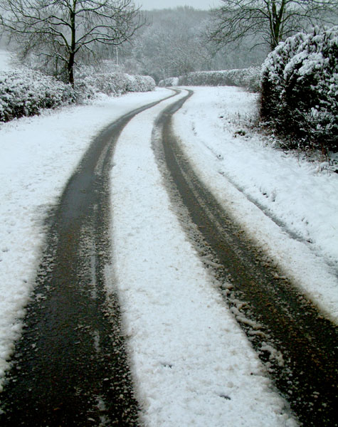 in the fresh snow