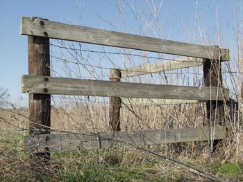 Corner Posts