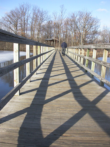 Bridge Walker