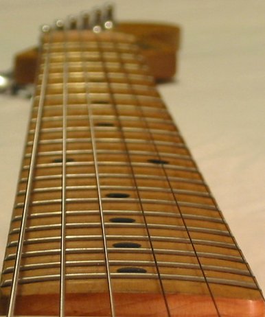 squier's neck