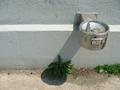 Fountain Shadow