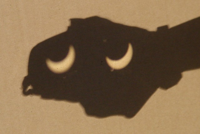 Creature from the Partial Eclipse