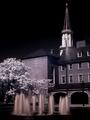 Courthouse Fountain -  Alexandria