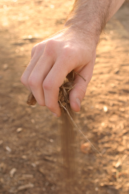 Dust in the Wind