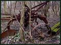 Plowing the Forest