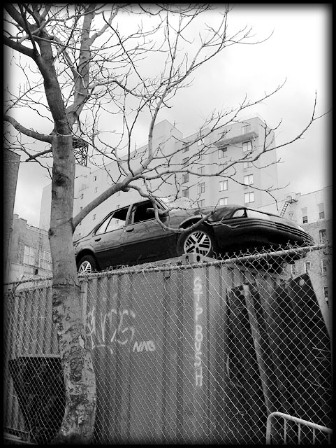 Free Parking