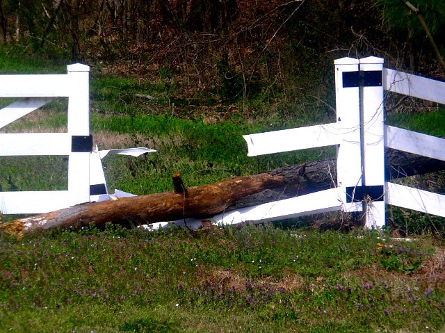 Spring Wind Storm