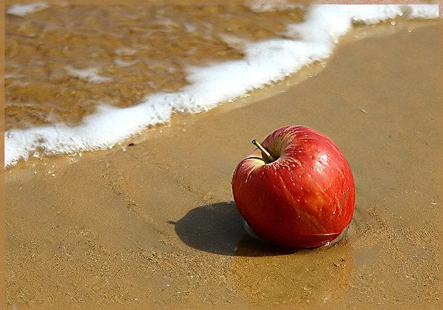 On the beach