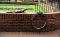 Chain $20, Bicycle $300,  A sense of security "PRICELESS"