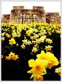 York's City Walls