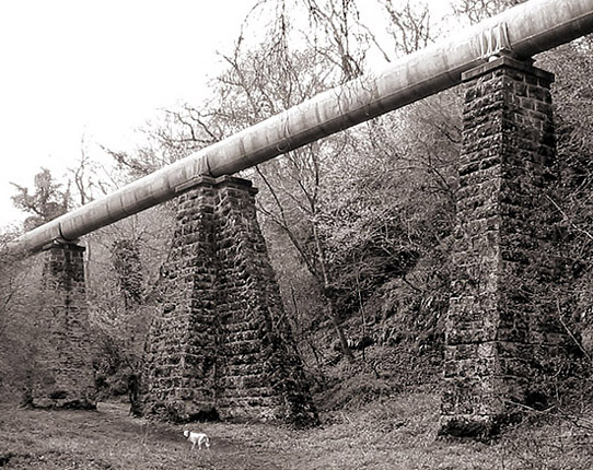 Strength In Stone