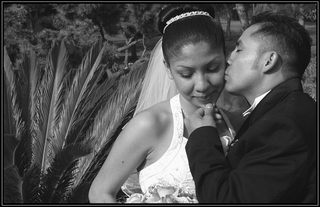 The Power Of Love