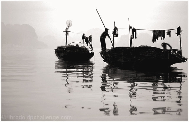 Misty Morning