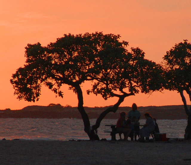 Twilight Picnic