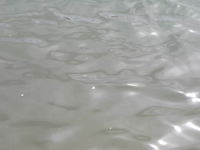 Ripples