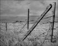 in the country