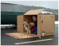 Living in a cardboard box in the middle of the road