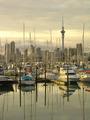 EARLY MORNING IN AUCKLAND