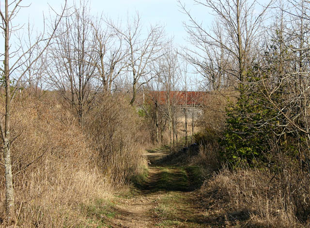 Pathway to Copeland