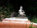 stone_n_buddha