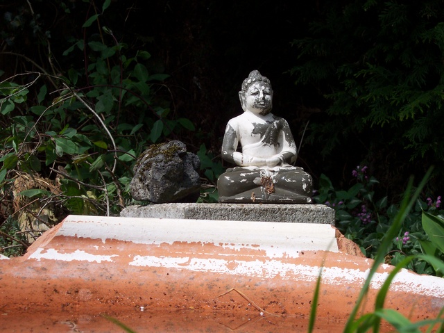 stone_n_buddha