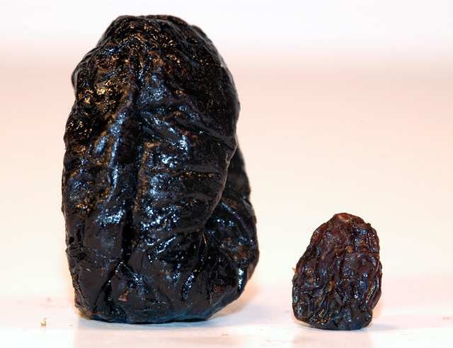 Nature's Proportional Fruit - The Prune 'n Raisin