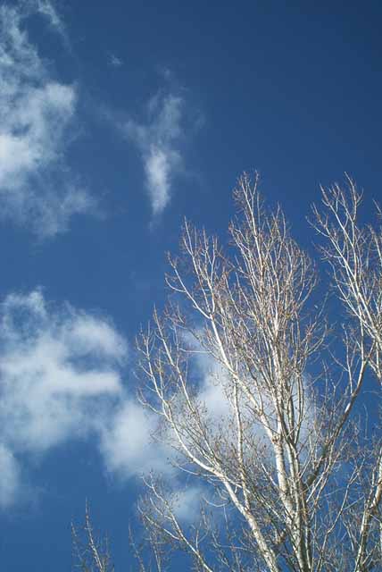 Colorado Sky