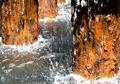 Water and Rust