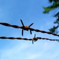 Borders