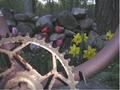 Rusty Bike Gear